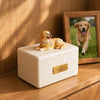 Pet Memorial Tribute Urn